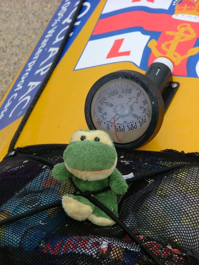 Freddie the Frog