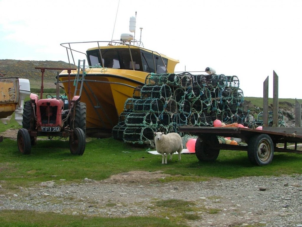 Bardsey4