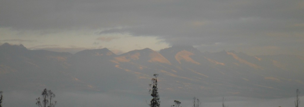 DSCF3155