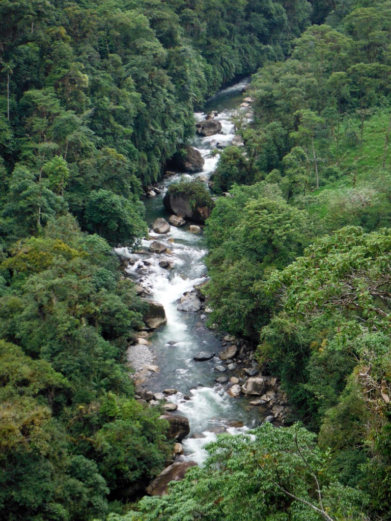 Rio Jondachi