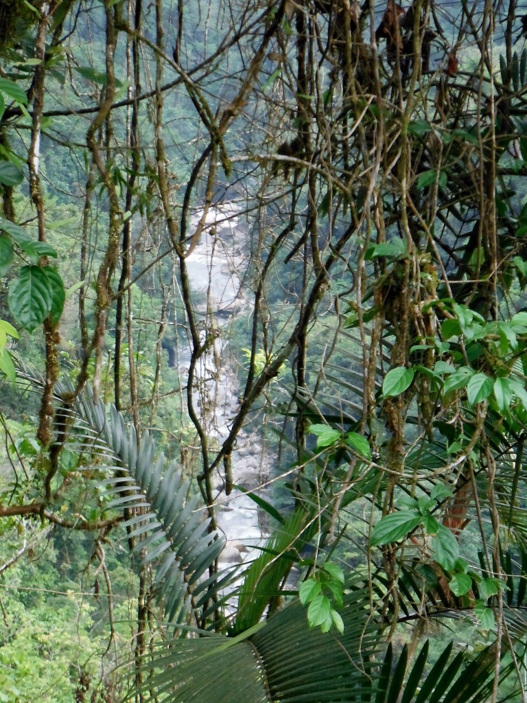 DSCF3390