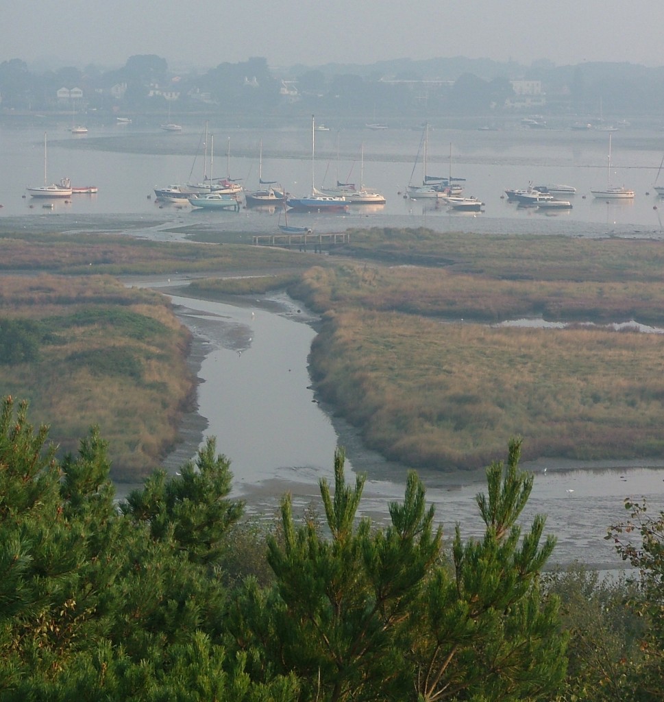 Early morning, Christchurch Harbour