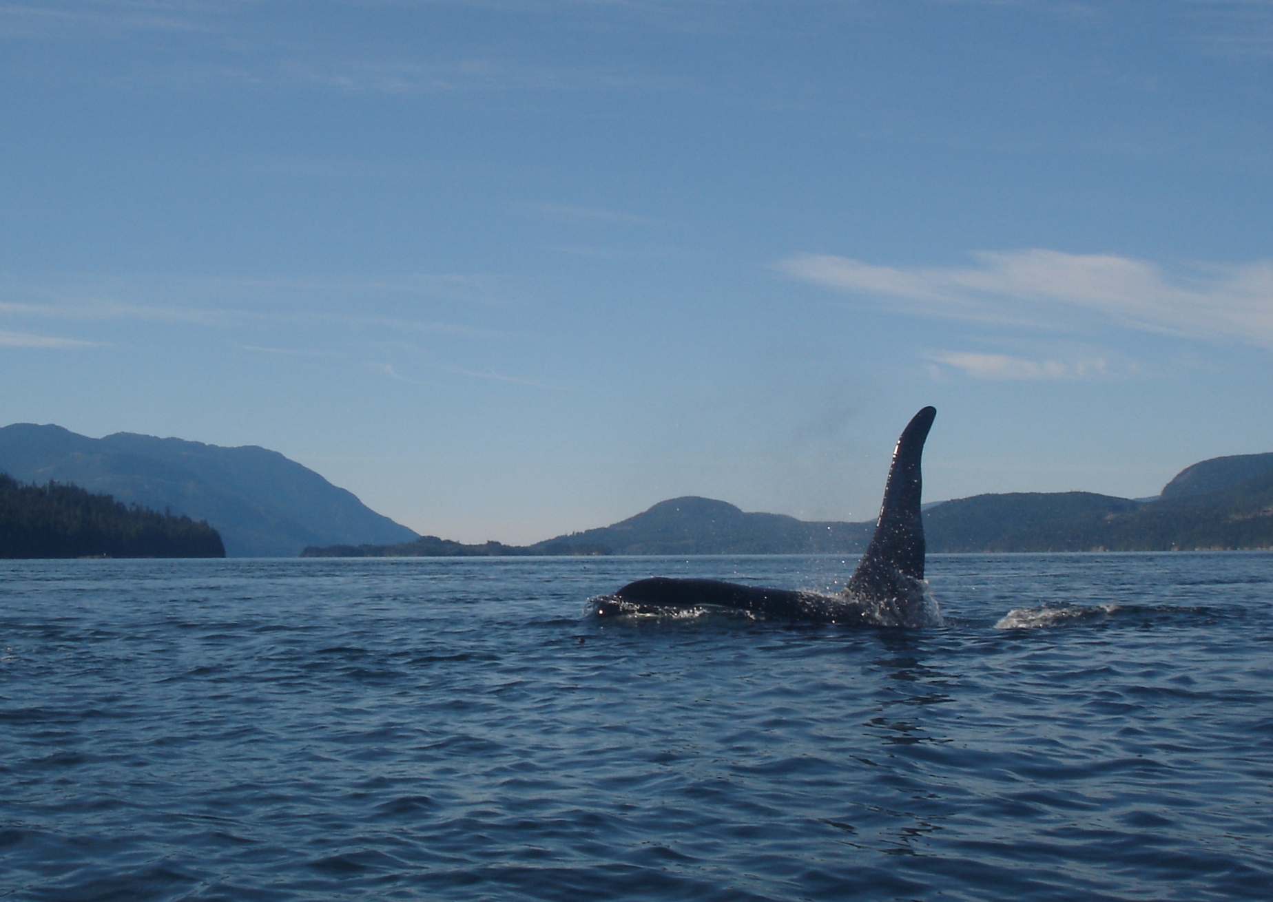 Vancouver Island Record Attempt